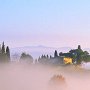 Bild: Alfred Schiener Bild: Alfred Schiener